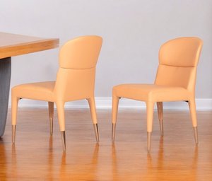 Set of Two 19" Peach and Gold Dining Chair