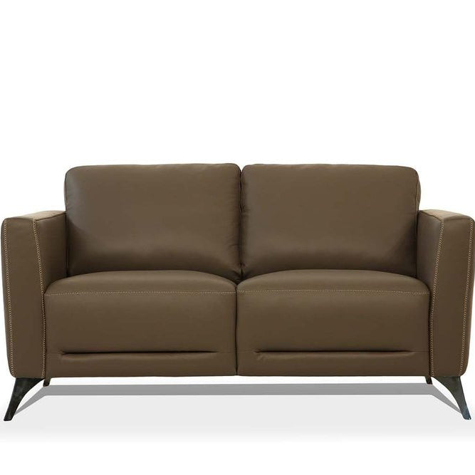 59" Contemporary Leather Loveseat