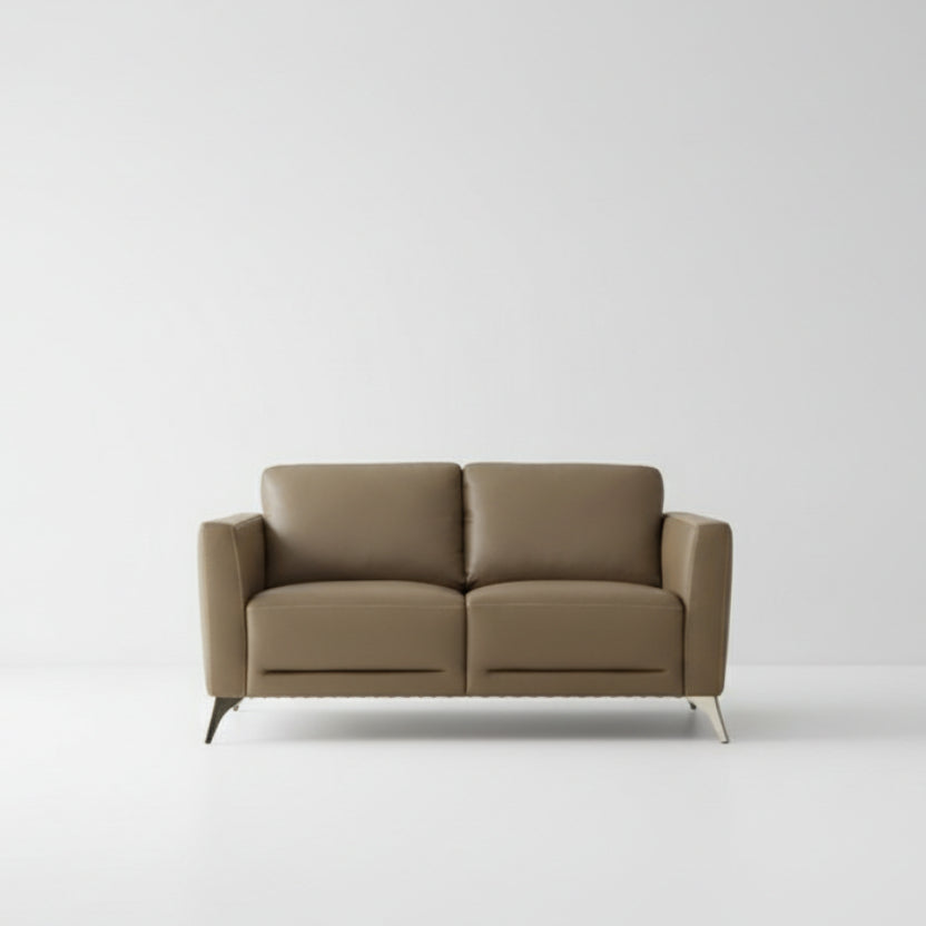 59" Contemporary Leather Loveseat
