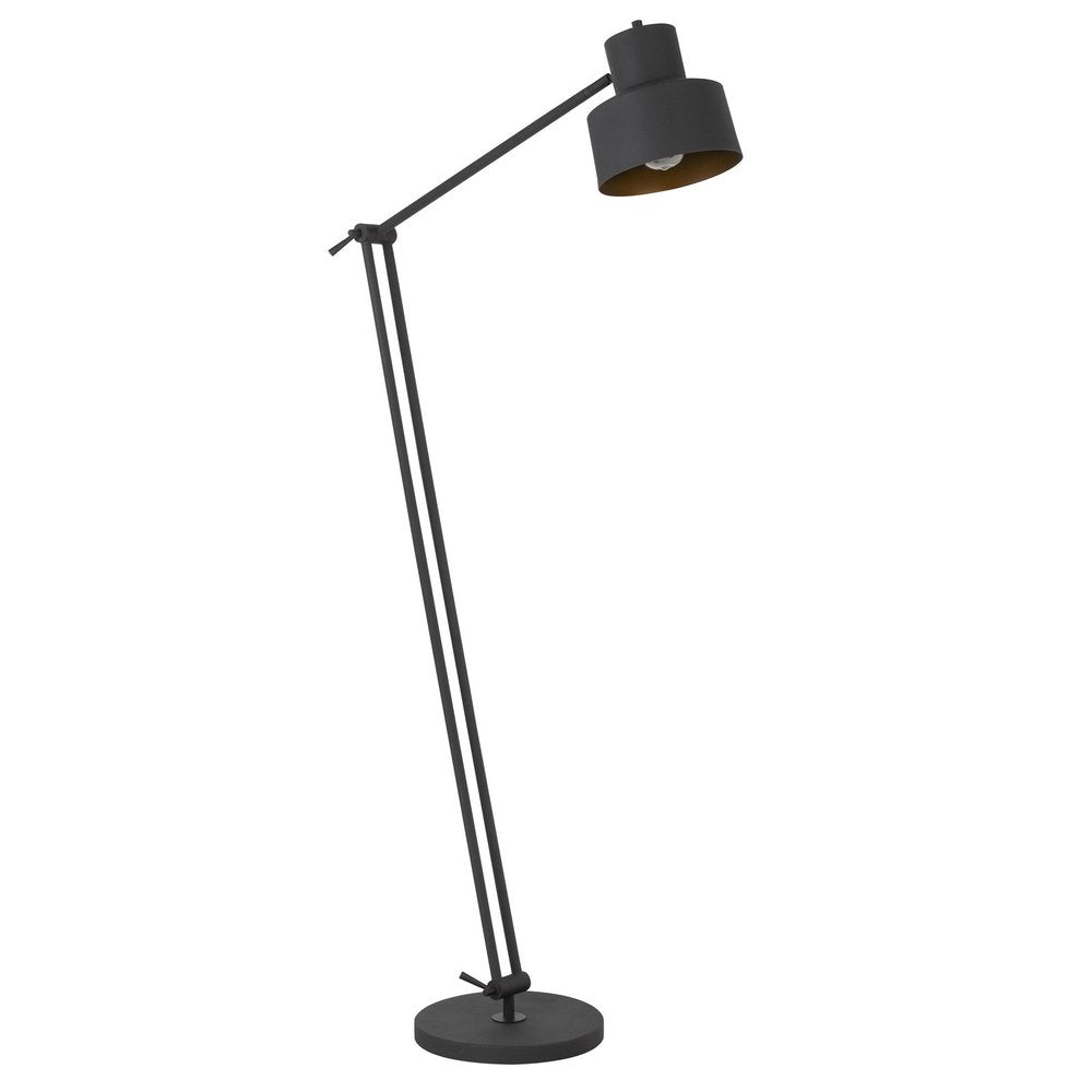 65" Black Adjustable Dome Floor Lamp