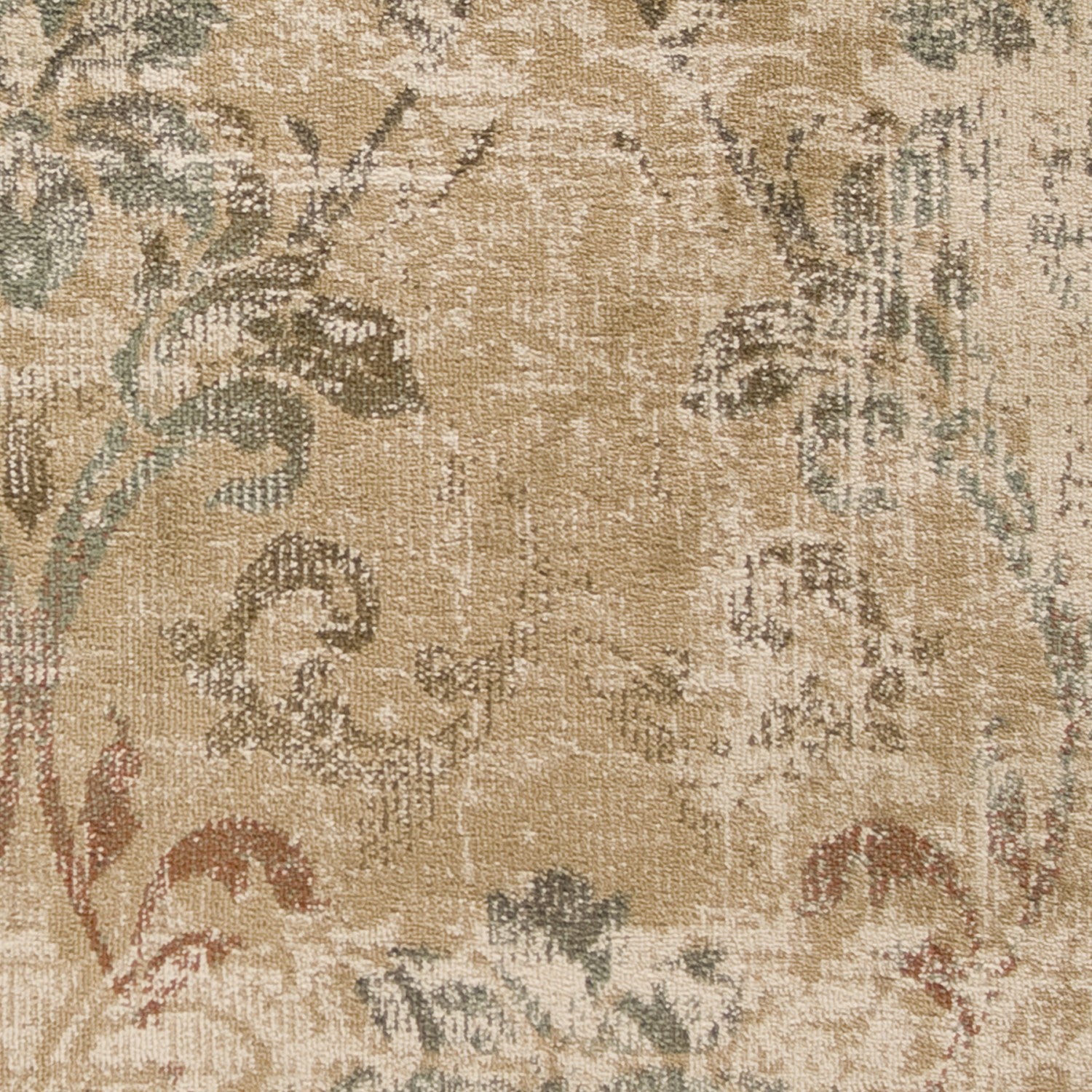 Champagne Faded Traditional Area Rug