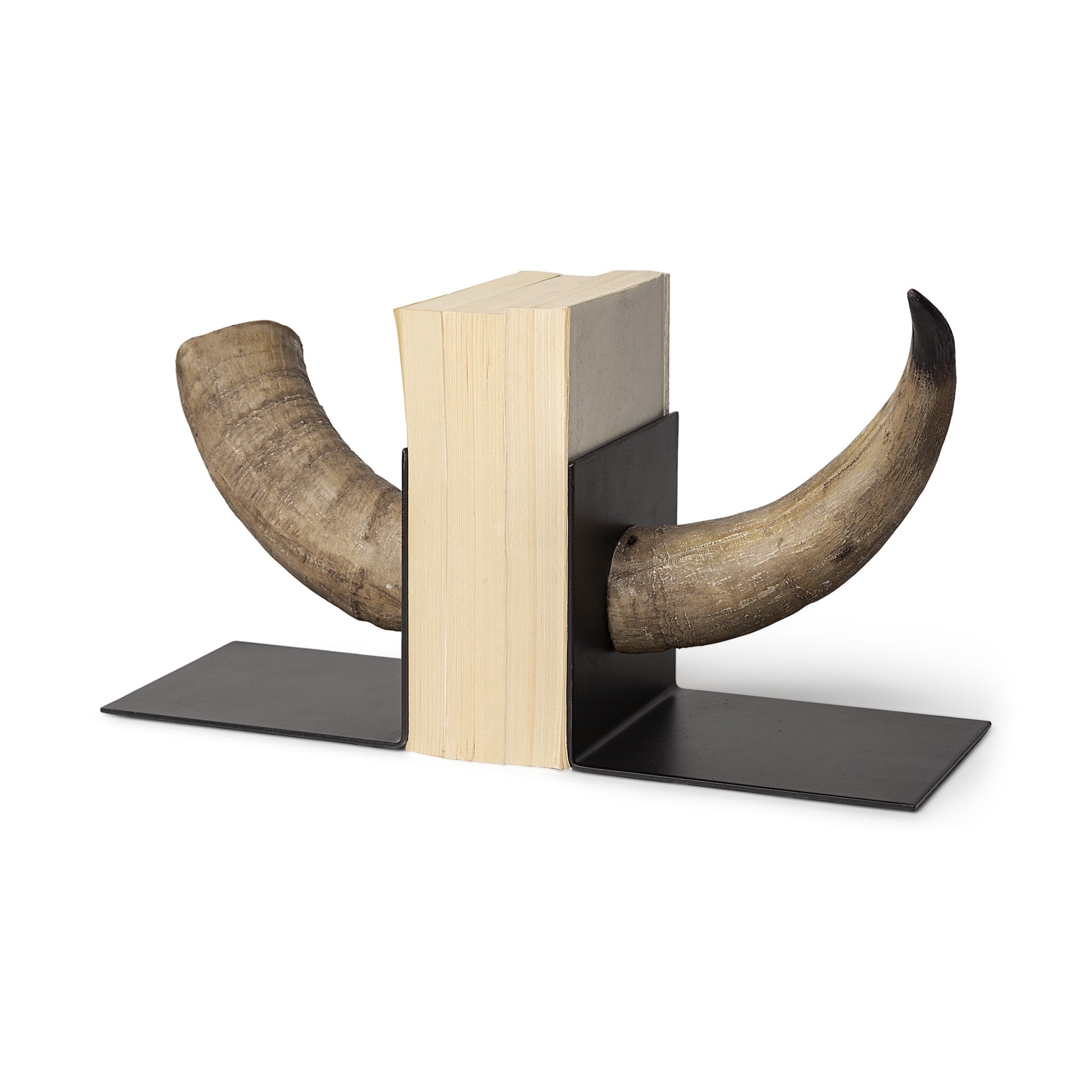 6" Bull Horn Replica Bookends