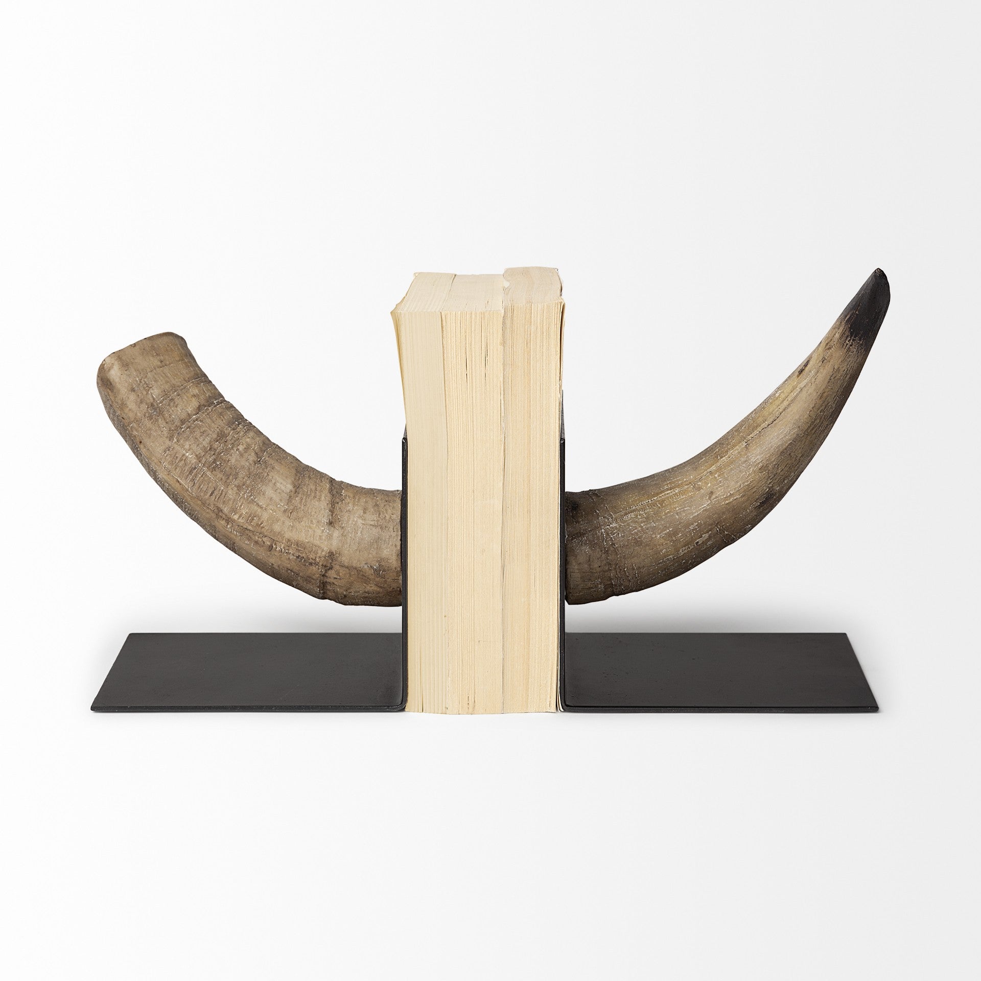 6" Bull Horn Replica Bookends