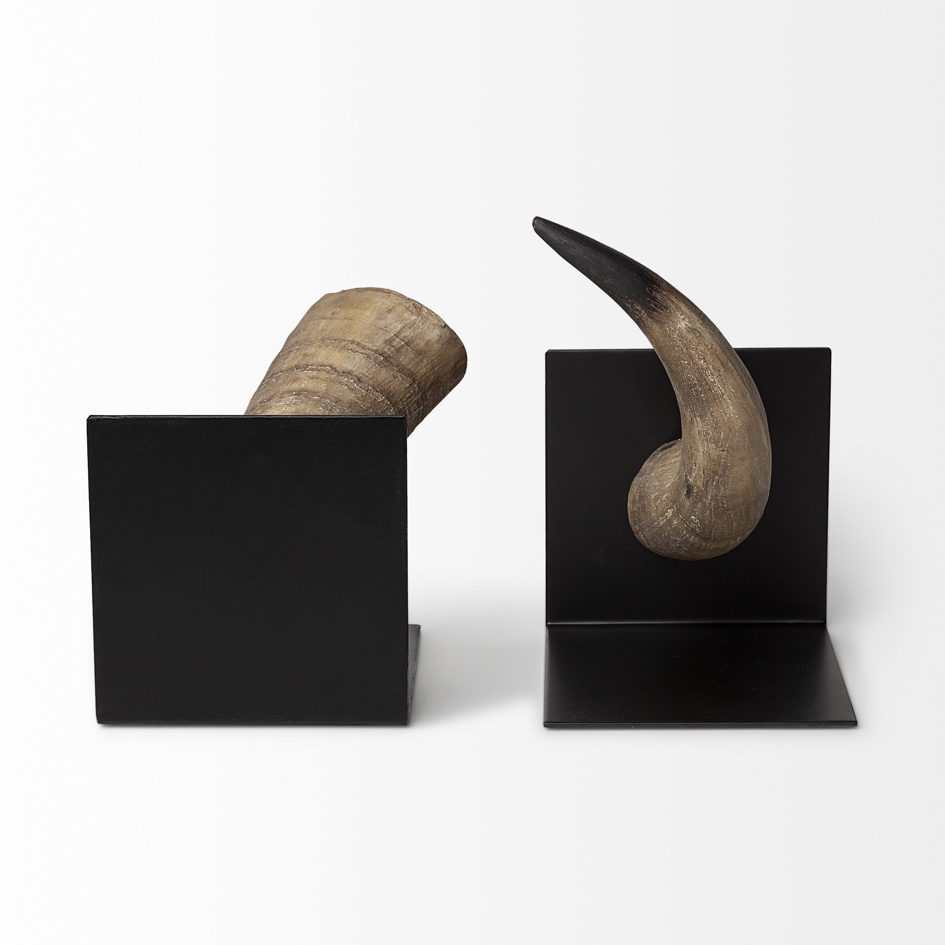 6" Bull Horn Replica Bookends