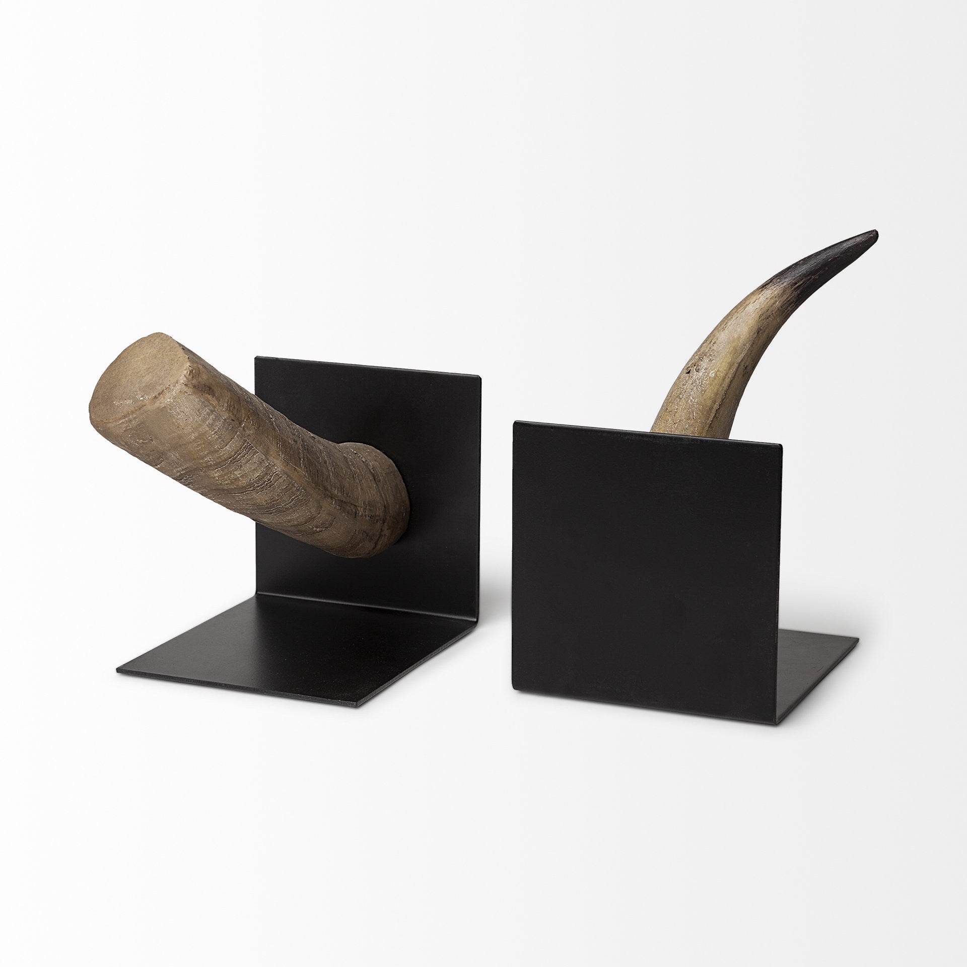 6" Bull Horn Replica Bookends