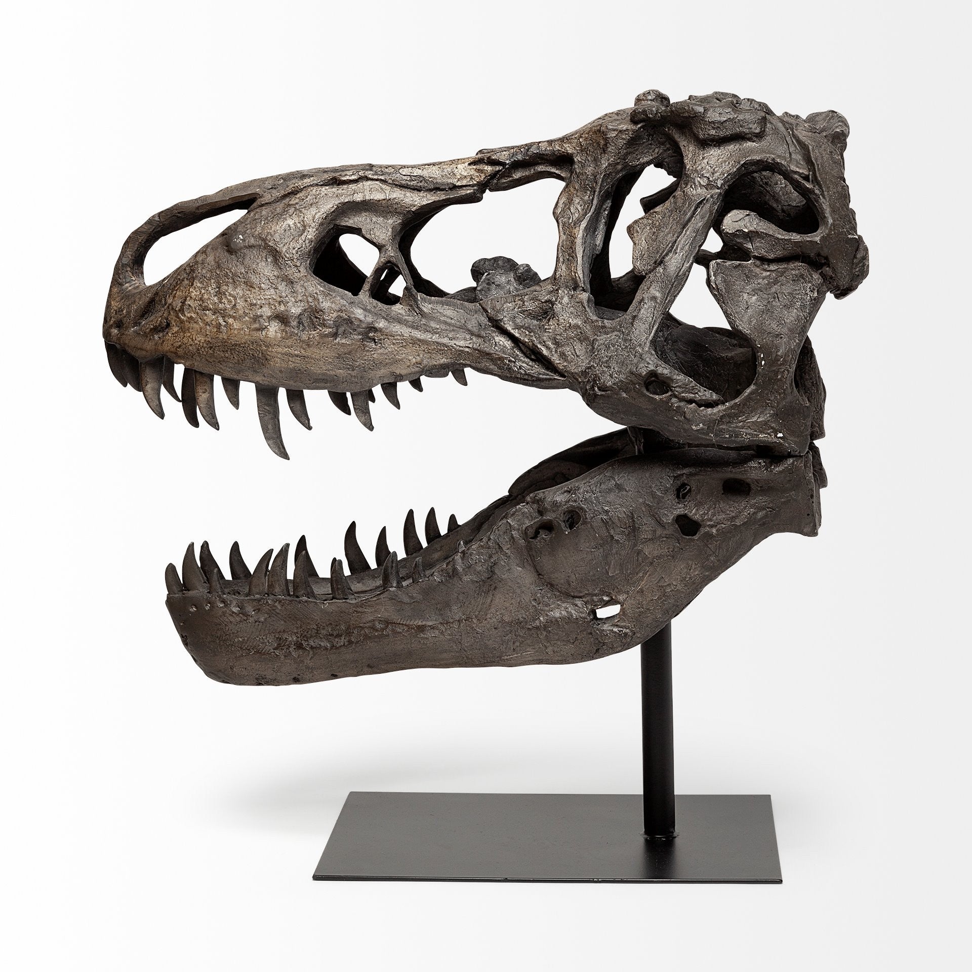 Replica T-Rex Skull Sculpture