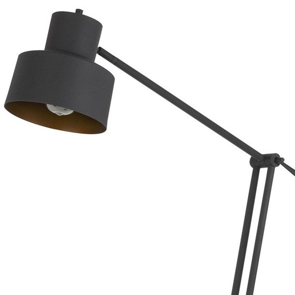 65" Black Adjustable Dome Floor Lamp