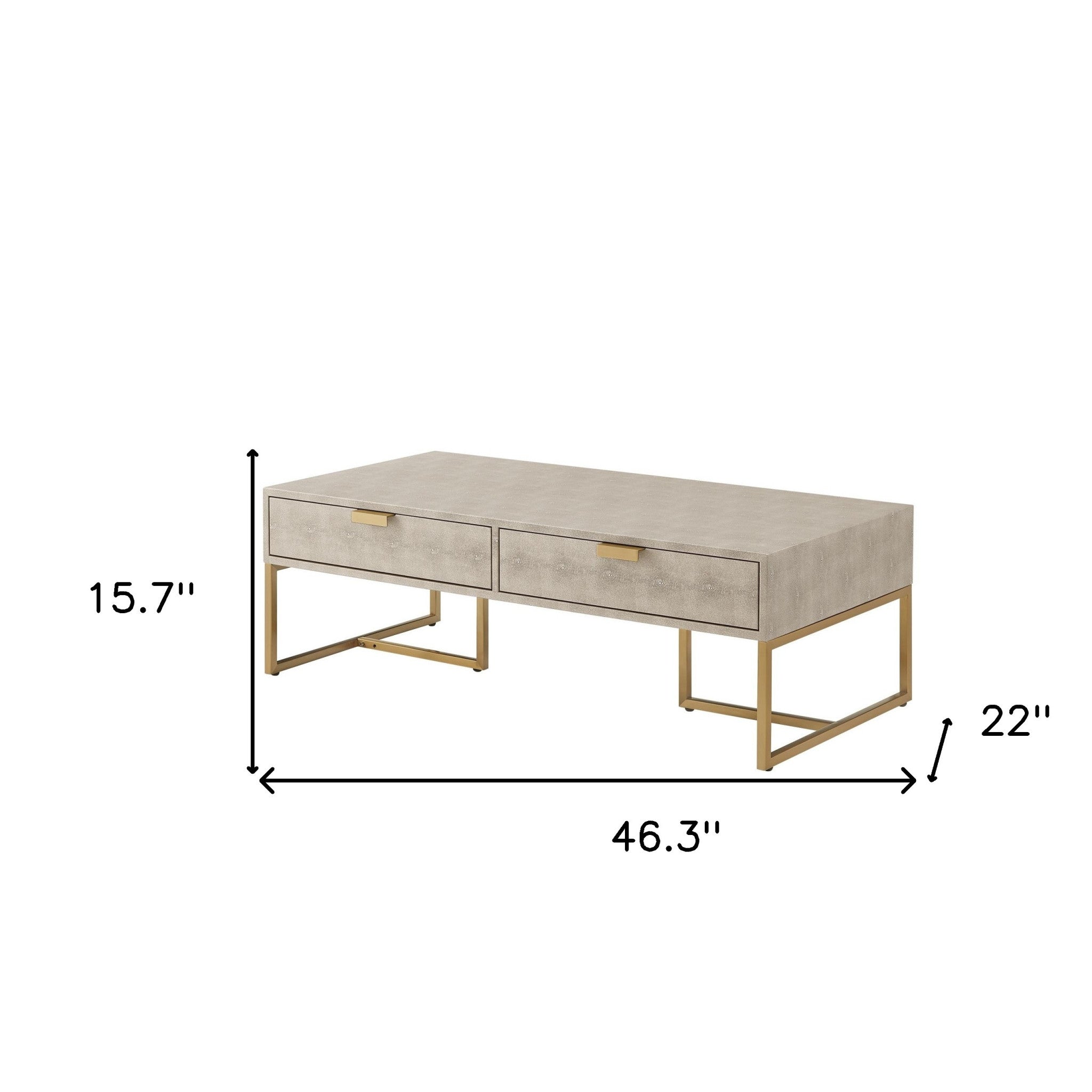 46" Modern 2 Drawer Coffee Table